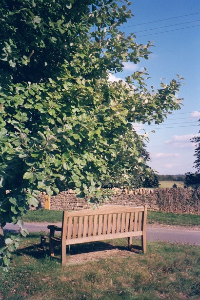 Dean in Oxfordshire: Queen's Jubilee bench and tree
